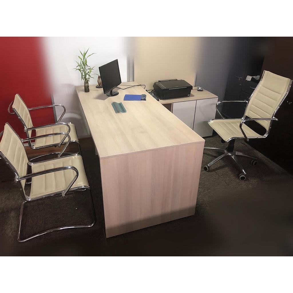 Escritorio Modelo Cenizo